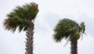 برياح سرعتها 75 ميلاً.. "باري" يهدّد لويزيانا الأمريكية