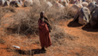 5.4 مليون صومالي بلا غذاء حتى نهاية العام