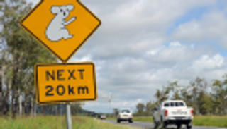 صيد السمك يغوي 4 أطفال لسرقة سيارة