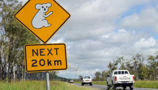 الأطفال قطعوا مسافة 1000 كيلومتر للوصول إلى وجهتهم