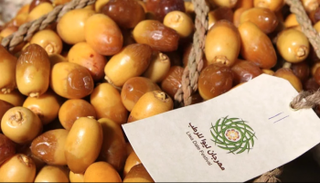 مهرجان "ليوا للرطب" ينطلق الأربعاء