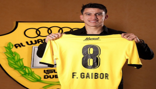 فيرناندو جايبور 