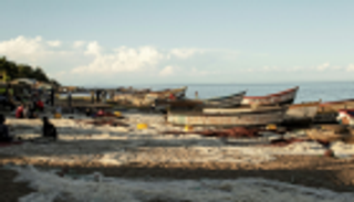 التغير المناخي والصيد الجائر يهددان أسماك بحيرة مالاوي