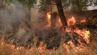 نقص الأمطار وسرعة الرياح يعوقان إخماد النيران - أرشيفية