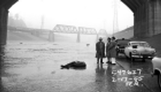 الوجه الآخر لهوليوود.. أرشيف الشرطة يكشف جانب أمريكا المظلم