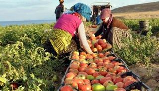 هبوط الليرة التركية عرض مستمر