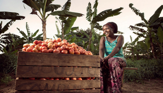 المزارع العائلية تنتج 80% من الأغذية المتاحة لسكان الكوكب - أرشيفية