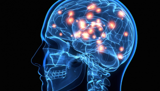 صحة الدماغ تبدأ من الأمعاء