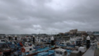 كوريا الجنوبية تتأهب لخسائر "داناس"