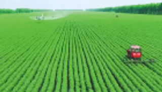 77 مليار دولار تجارة الصين الزراعية مع دول الحزام والطريق