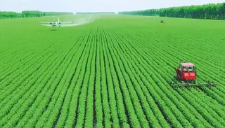 محاصيل زراعية - أرشيفية