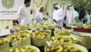 ليوا للرطب.. تراث إماراتي يصل للعالمية