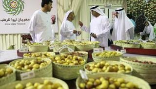 جانب من فعاليات مهرجان ليوا للرطب - أرشيفية