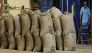 45 % ارتفاعا في صادرات البن البرازيلي للدول العربية