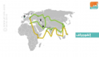 خبيران صينيان: الإمارات تلعب دورا محوريا في ربط دول الحزام والطريق