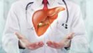 تراجع مرضى الكبد في ألمانيا خلال 10 أعوام