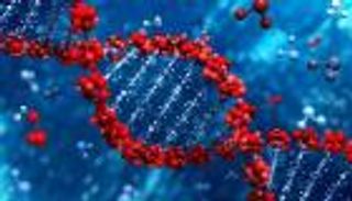 العصب الحركي.. الأم قد تنقل المرض لأبنائها عبر الجينات