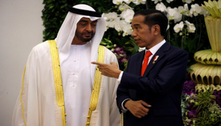 مباحثات ثنائية بين الشيخ محمد بن زايد آل نهيان والرئيس الإندونيسي