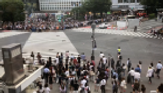 3 ملايين شخص يوميا.. إشارة "شيبويا" بطوكيو الأكثر ازدحاما في العالم