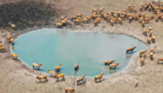 10 آلاف محمية للحفاظ على التنوع البيولوجي في الصين