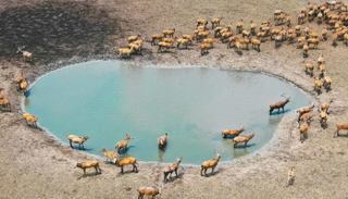 الصين تنشئ أكثر من 10 آلاف محمية طبيعية