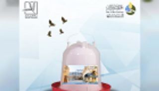 توفير المياه للطيور في 100 حديقة بدبي