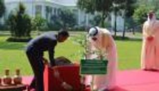 "أجاثيس دامارا" شجرة الصداقة.. غرسها محمد بن زايد والرئيس الإندونيسي