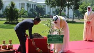 الشيخ محمد بن زايد آل نهيان والرئيس جوكو في ساحة قصر بوجور الرئاسي 