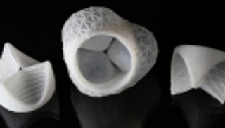 بطباعة ثلاثية الأبعاد.. صمام جديد للقلب من السيليكون