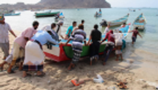 الإمارات تدعم 26 ألف صياد في الساحل الغربي باليمن