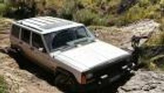 عجوز وكلبان في الصحراء.. النجاة بعد 4 أيام