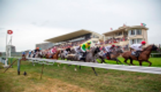 بلجيكا المحطة الخامسة لسباقات كأس رئيس الإمارات للخيول العربية