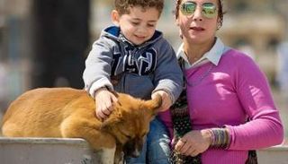 "دكتور دوج" مشروع علاجي يستخدم الكلب البلدي لتأهيل الأطفال أصحاب الهمم