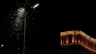 الجراد يهاجم مدينة لاس فيجاس