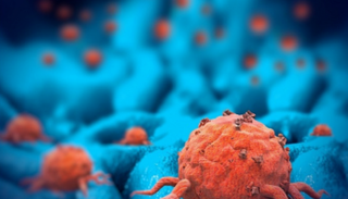 باومان توقع تزايد الإصابات السرطانية في ألمانيا - أرشيفية