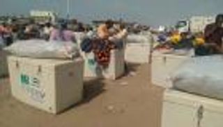 تمويل إماراتي سعودي لـ"المعدات السمكية" في أبين اليمنية