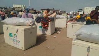 جانب من تسليم المعدات السمكية لصيادي أبين