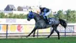 بالفيديو.. "مشهور الخالدية" بطلا لخامس مراحل كأس رئيس الإمارات للخيول