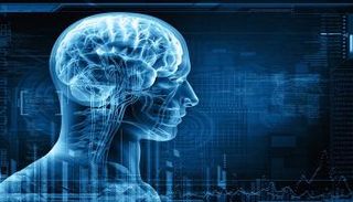 باحثون يقولون إنهم نجحوا في ترجمة إشارات للمخ إلى لغة 