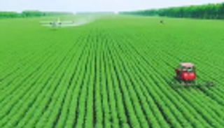 الصين تعلن البدء في شراء المزيد من السلع الزراعية الأمريكية