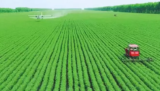 محاصيل زراعية - أرشيفية