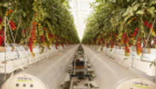 17 مليار درهم تجارة أبوظبي من السلع الزراعية والغذائية في 2018