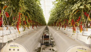 17 مليار درهم تجارة أبوظبي من السلع الزراعية