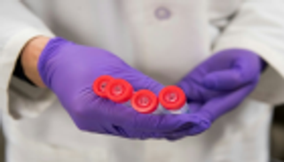 قرار ياباني صادم عن استزراع أعضاء بشرية داخل حيوانات