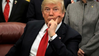 الرئيس الأمريكي دونالد ترامب 