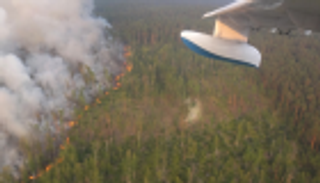 حرائق في غابات روسيا بمساحة بلجيكا