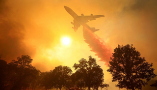 الحريق دمَّر أكثر من 500 هكتار - أرشيفية