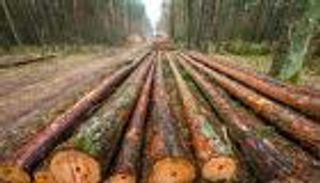 في حضرة الرئيس.. نداء للحفاظ على آخر 20 فهدا بالأرجنتين