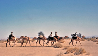 الأرشيف الوطني الإماراتي يوثق ذكريات الحجاج ورحلاتهم قديماً