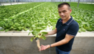 "الذهب الأحمر" الإيطالي على طريق الاغتسال من السخرة والمافيا